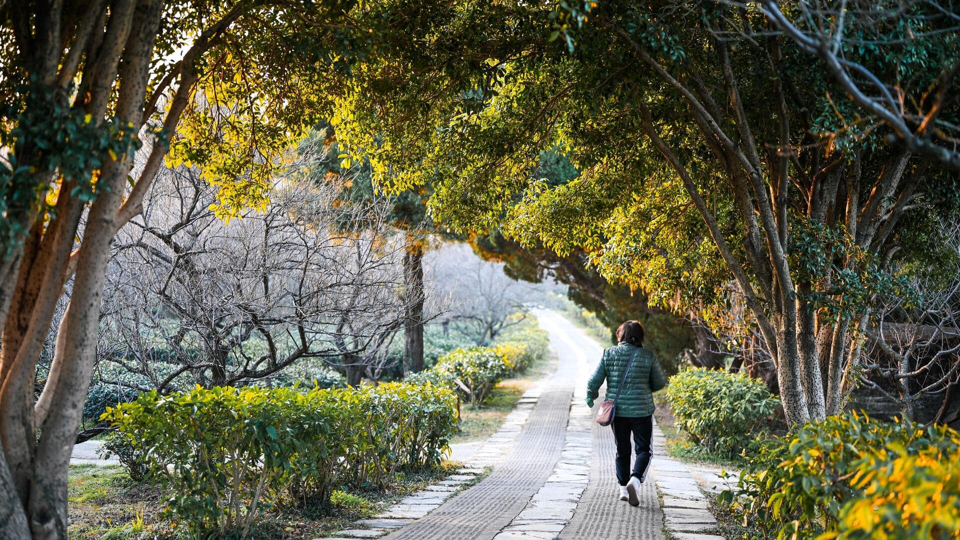 Urban nature walks can do wonders for your mental health!