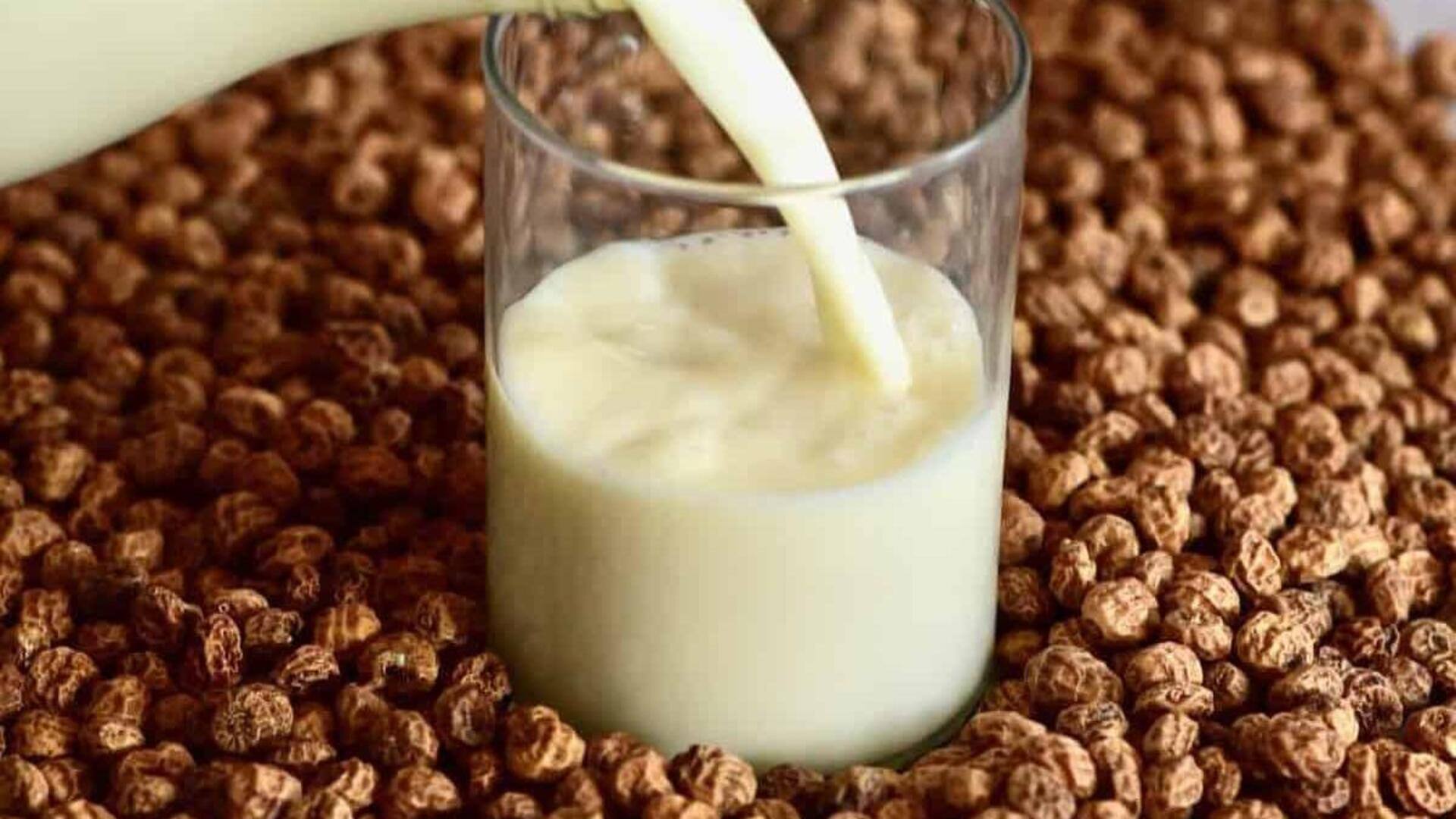 Why you must add tigernut milk to your diet