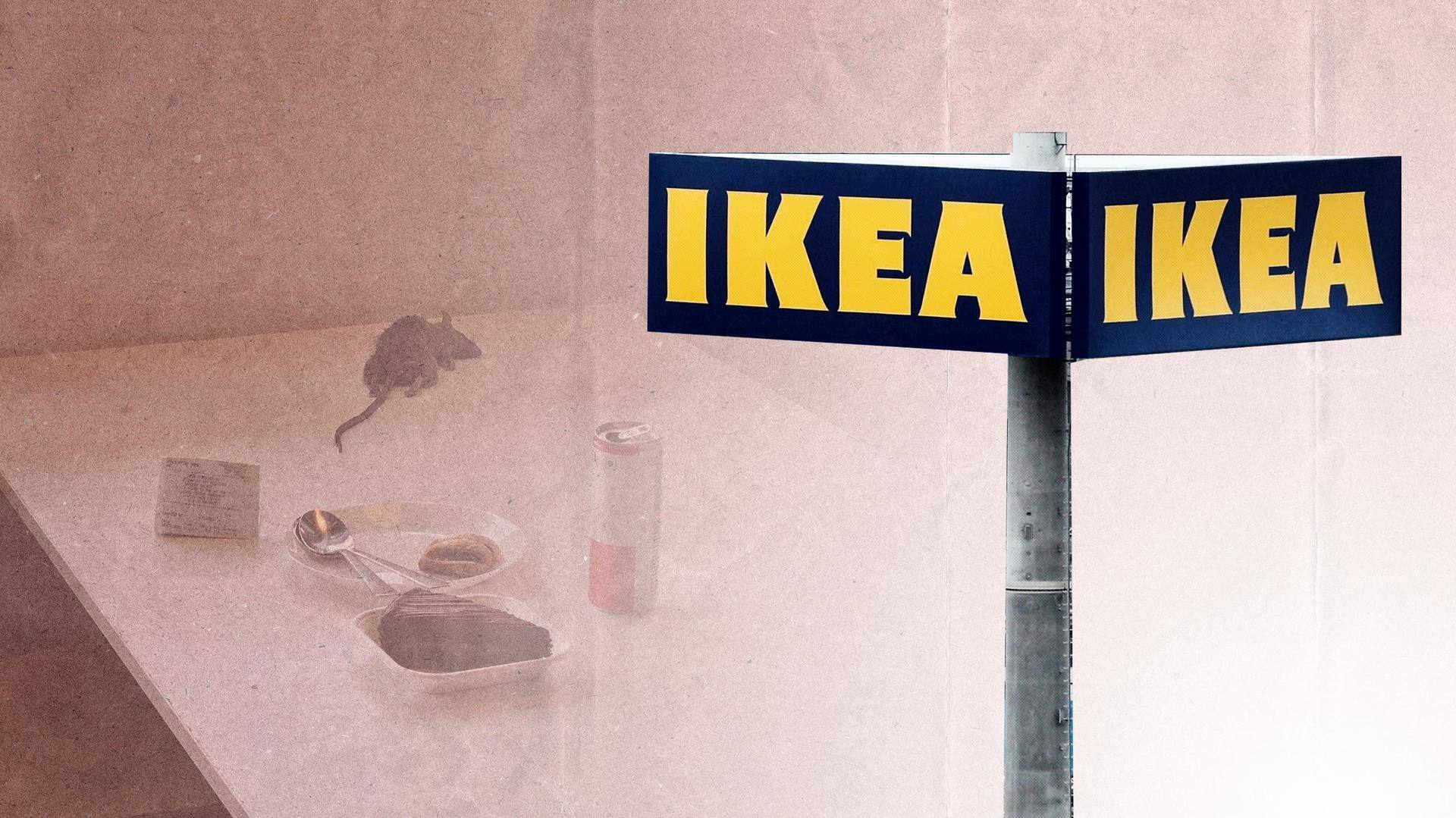 Dead rat falls on customer's food table, IKEA apologizes