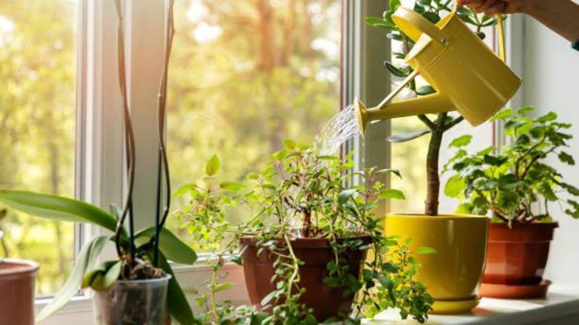 De-stress with these soothing plant activities De-stress with these soothing plant activities