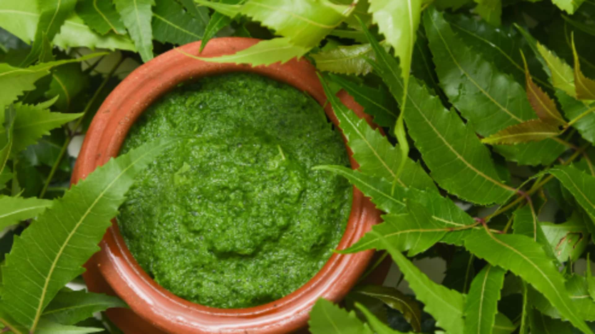5 recipes using neem leaves you'll love 5 recipes using neem leaves you'll love