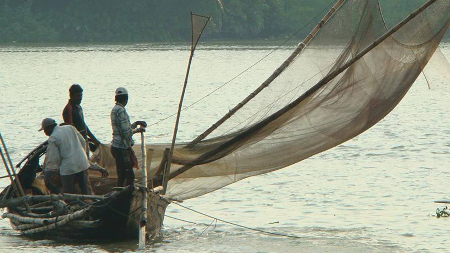 Bengal fishermen net year's first Hilsa haul