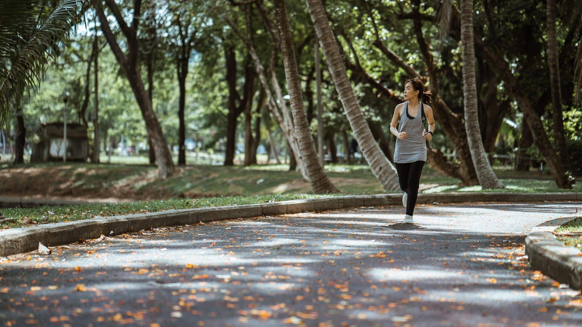 Park fitness trails: A simple way to get fit outdoors