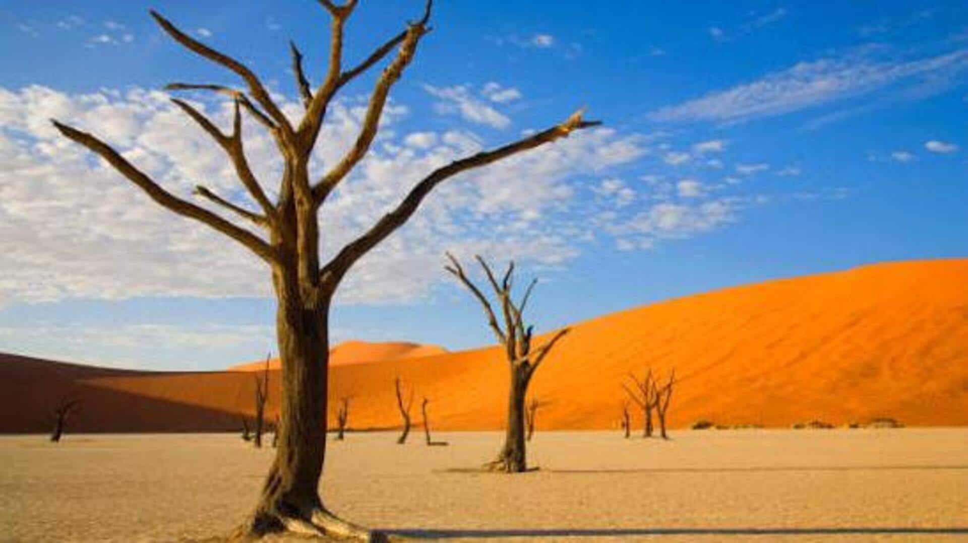 How to explore the Namib Desert on camelback