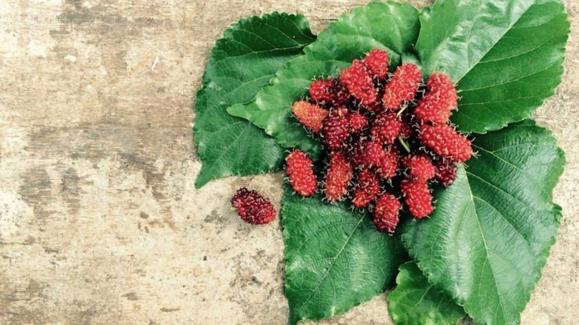 Reviving flavors: Cooking with mulberries