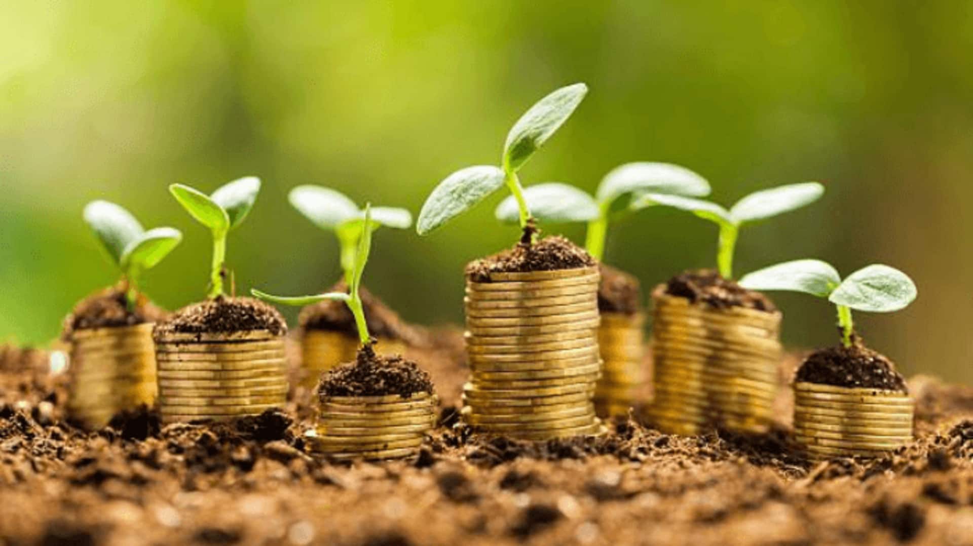 Want to be financially successful? These tips might help
