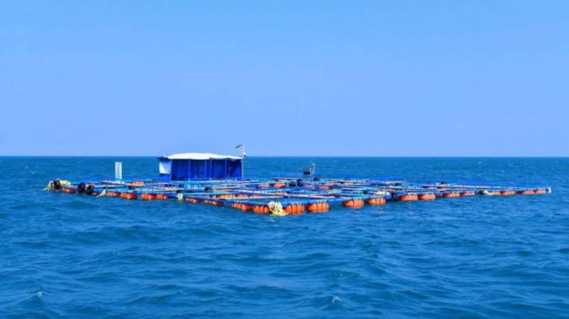 China's uranium-extraction method from seawater is 8x stronger than US