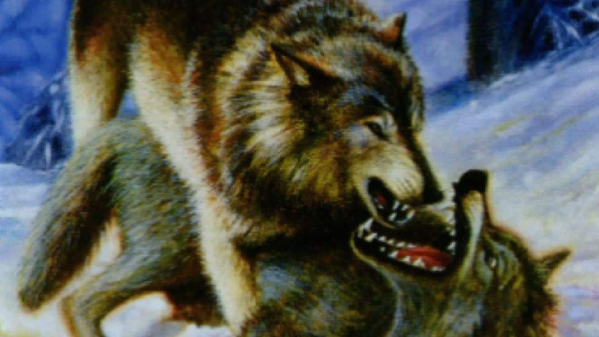 5 powerful lessons from 'The Call of the Wild'