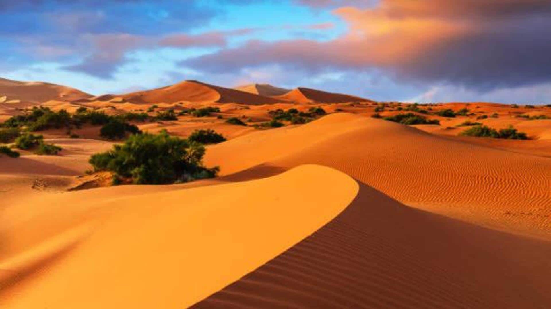 How to explore the Sahara Desert How to explore the Sahara Desert