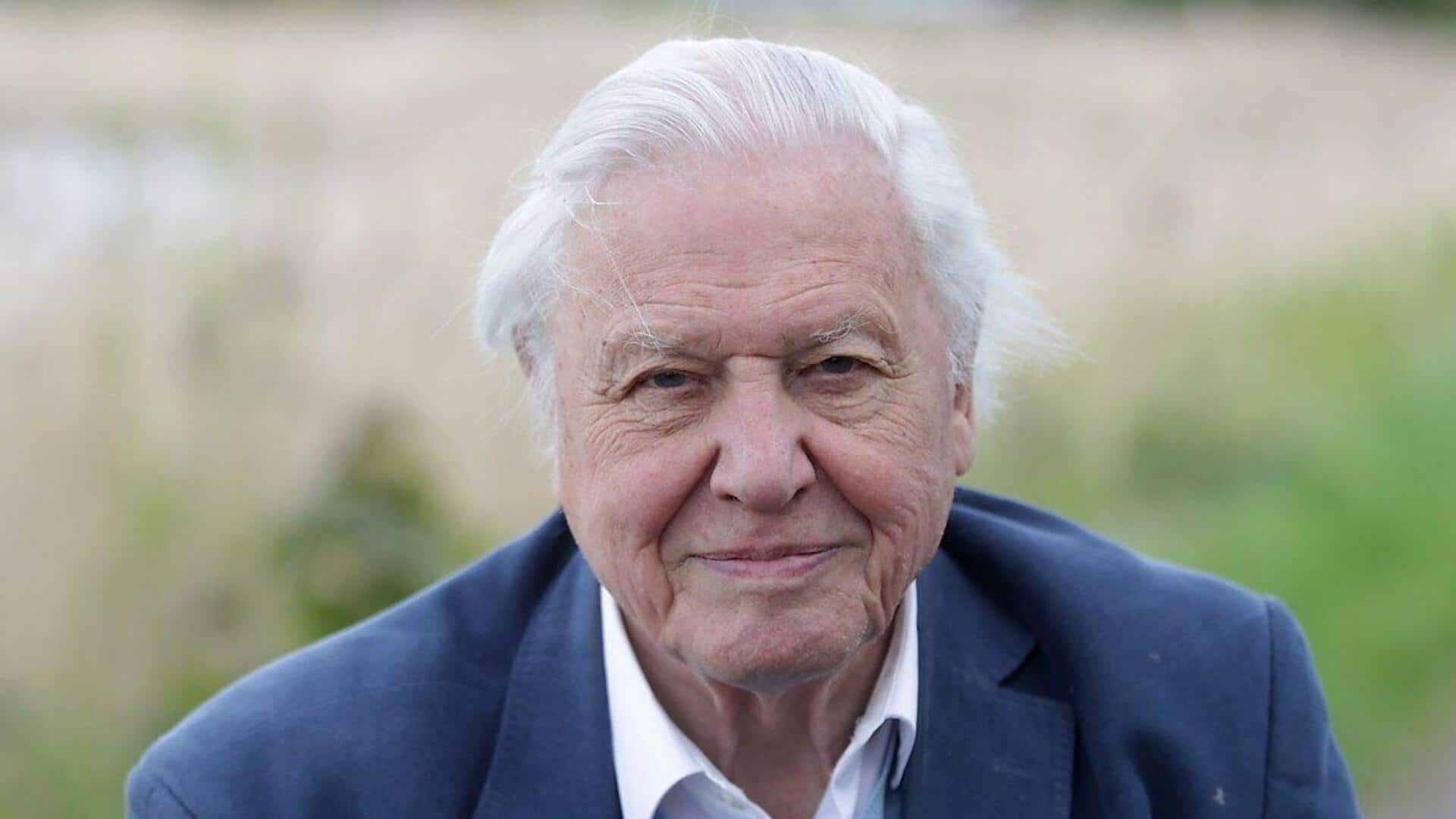 Daytime Emmys: David Attenborough (99) scripts history as oldest winner Daytime Emmys: David Attenborough (99) scripts history as oldest winner