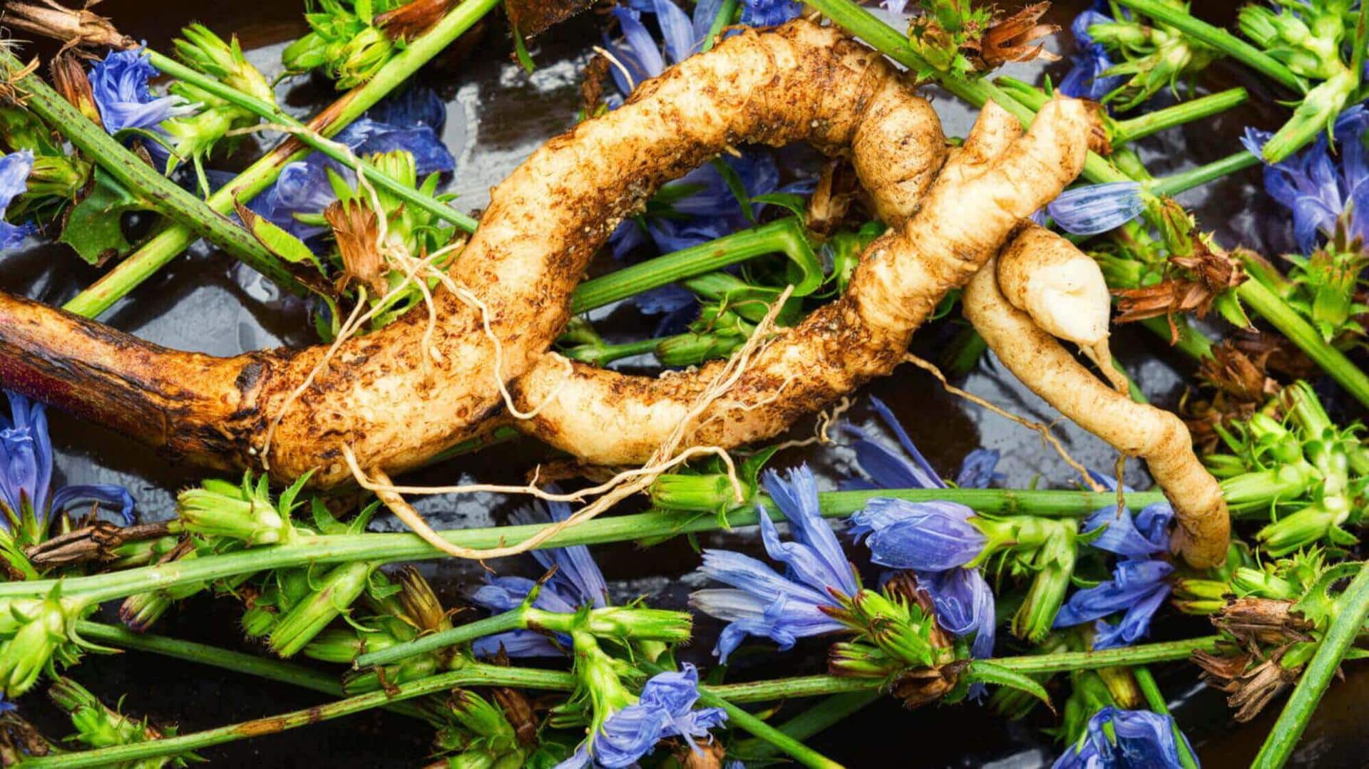 Chicory: Why you must include this superfood in your diet