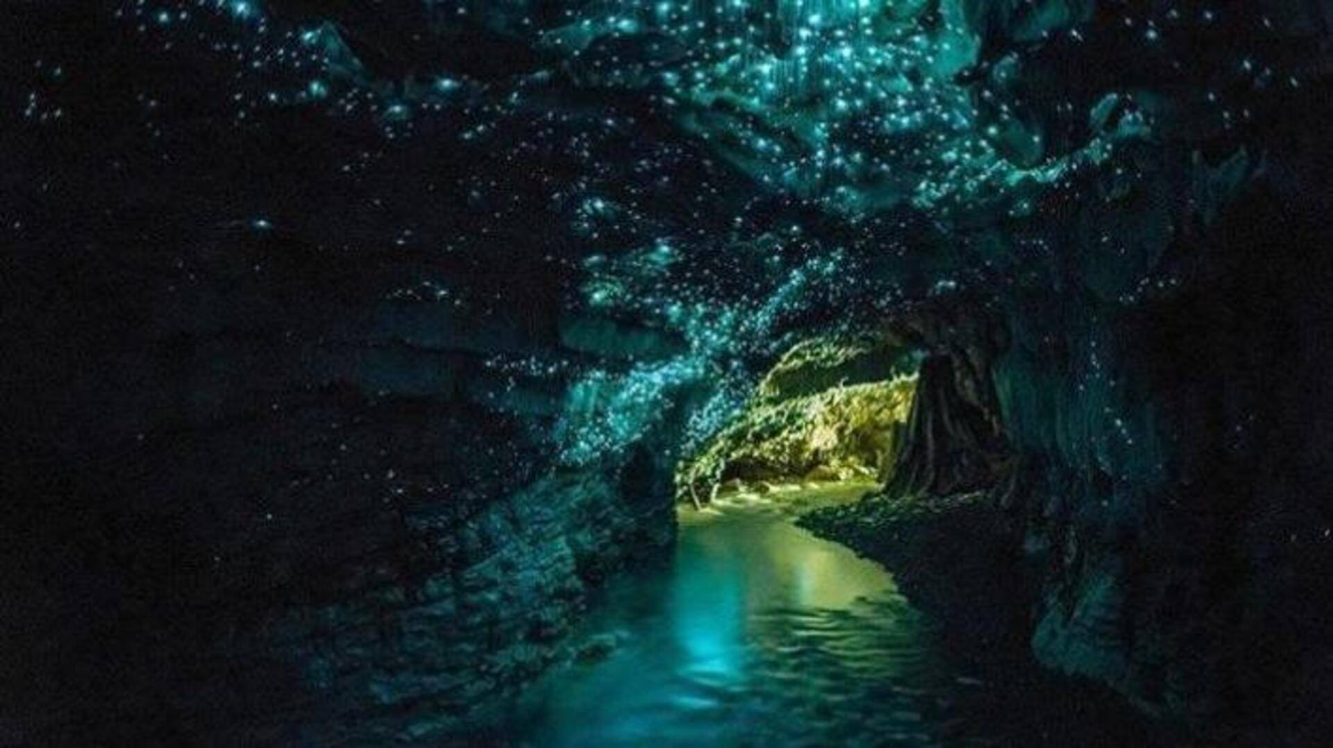 Glowworm cave kayaking: Enchanted river quests