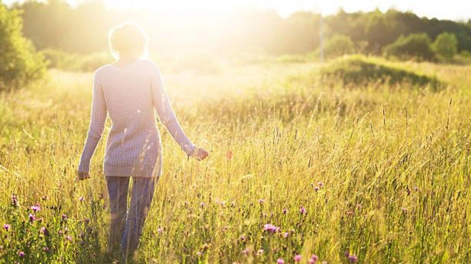 Boost your productivity with morning sunlight Boost your productivity with morning sunlight