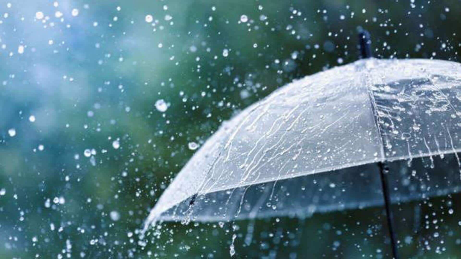 Monsoon fashion: Stylish umbrellas for every occasion Monsoon fashion: Stylish umbrellas for every occasion