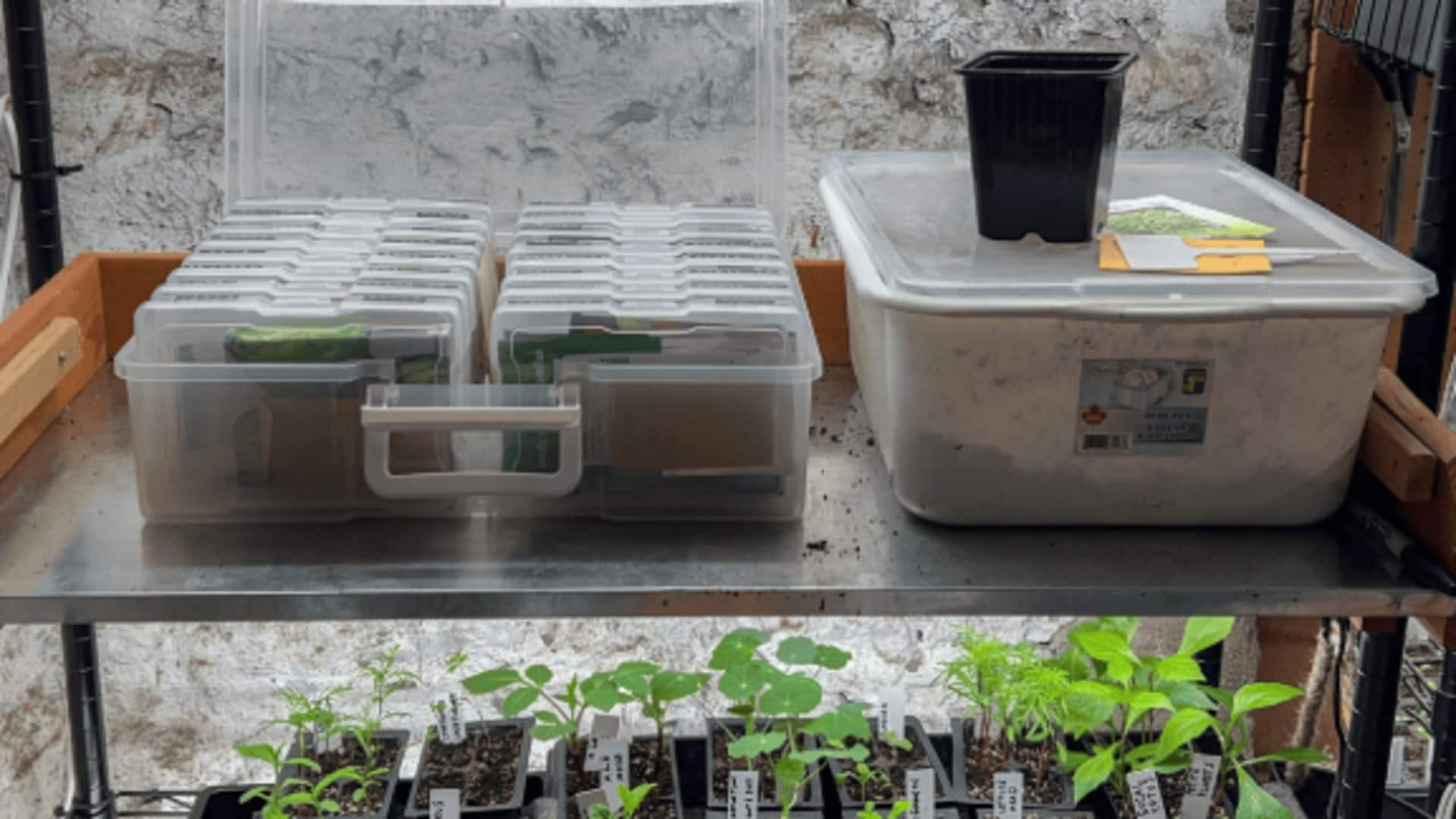 Declutter your seed starting station—it's simpler than you think!