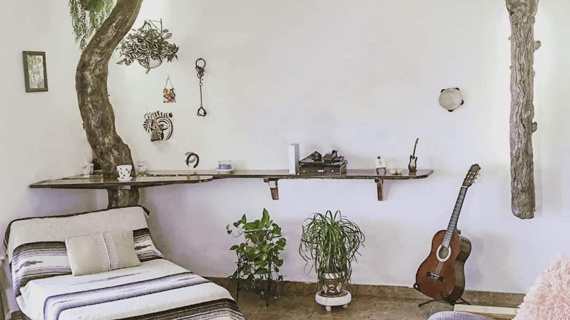 Ideas to use driftwood in your home decor