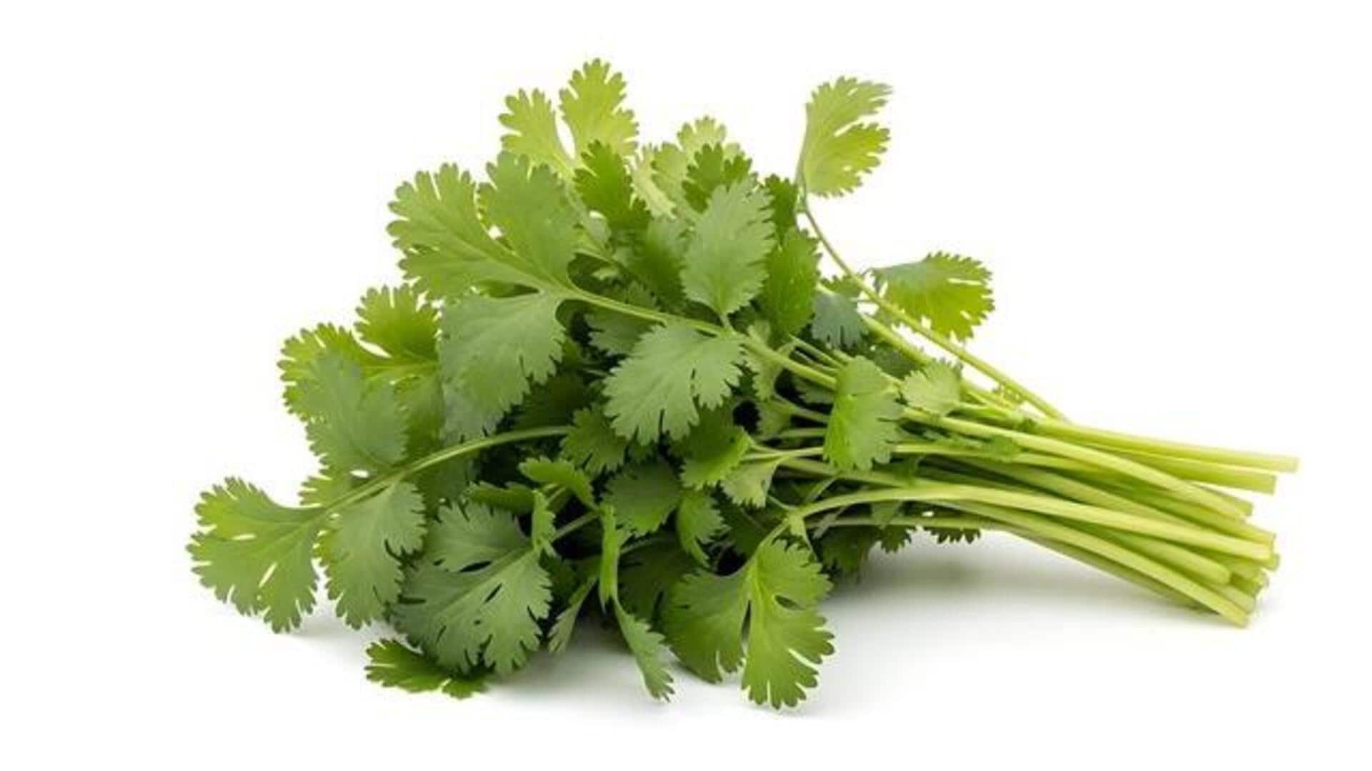 Surprising health benefits of cilantro