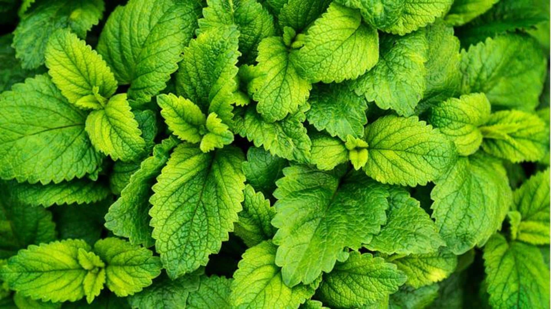 5 amazing ways to use fresh mint at home
