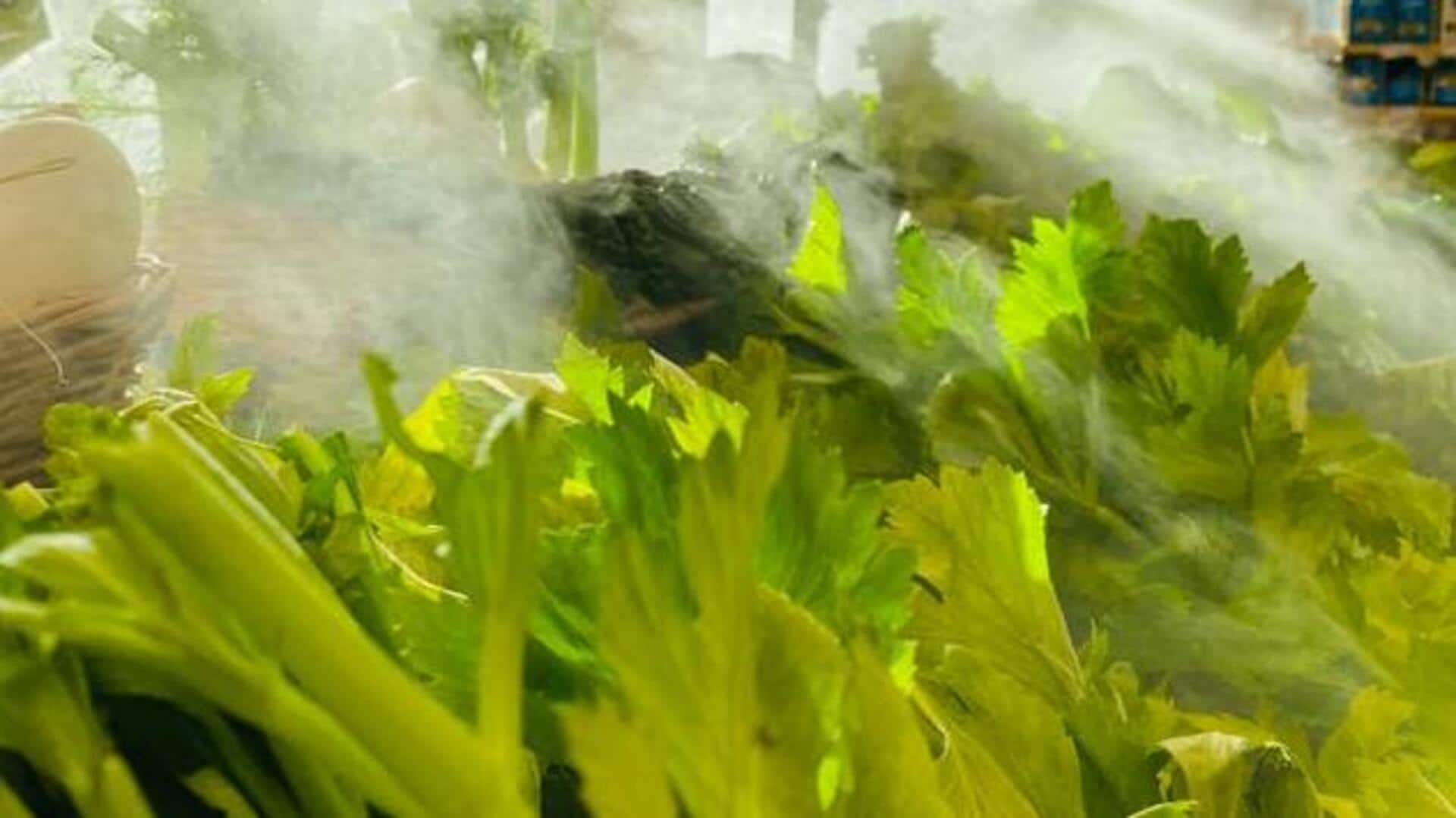 5 ways to add celery leaves to your diet