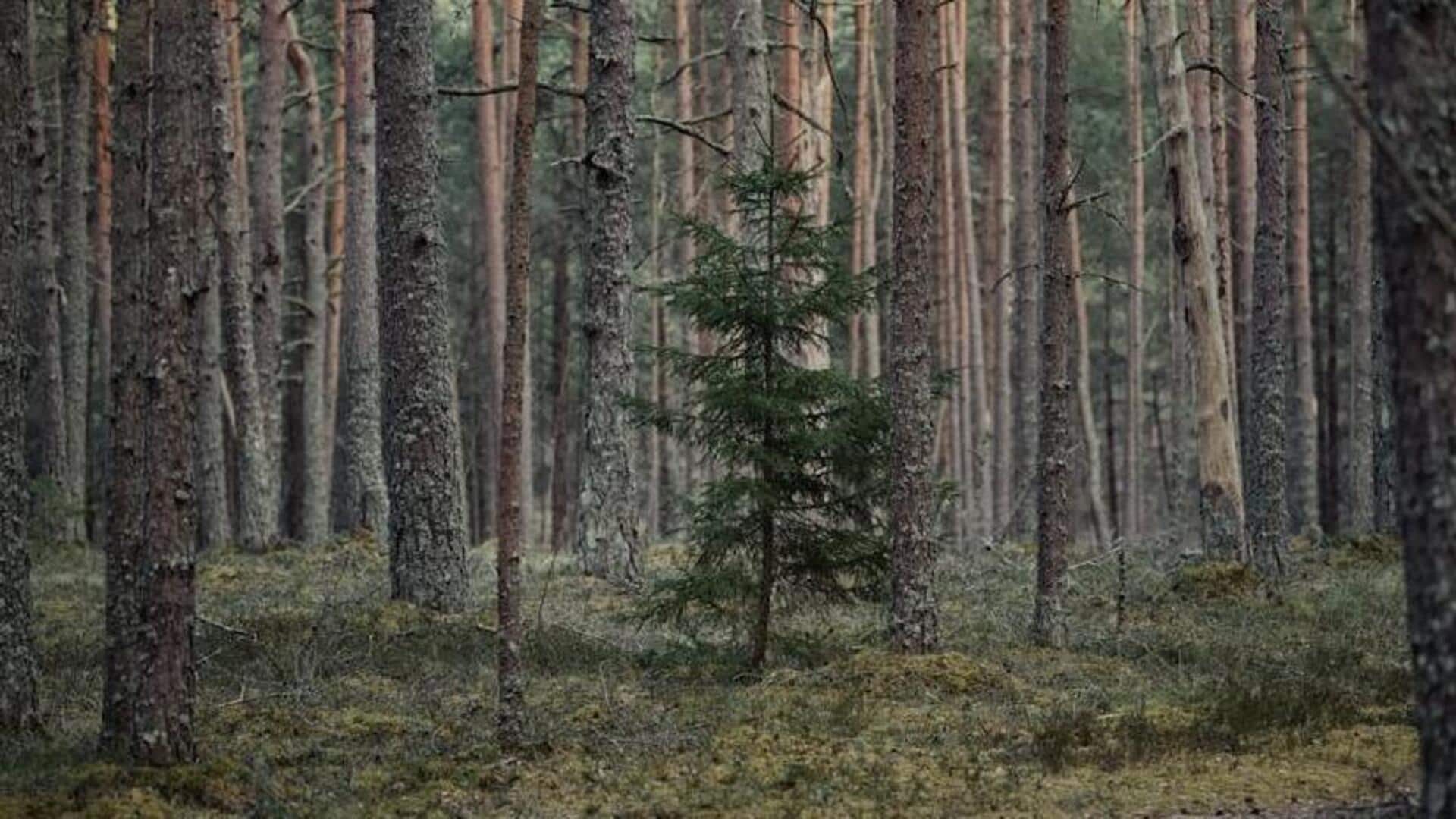 Forest bathing: Concept and health benefits Forest bathing: Concept and health benefits