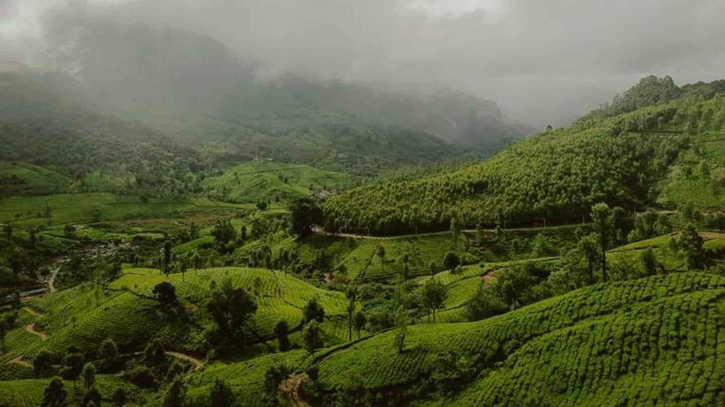 Your guide to traveling to Munnar