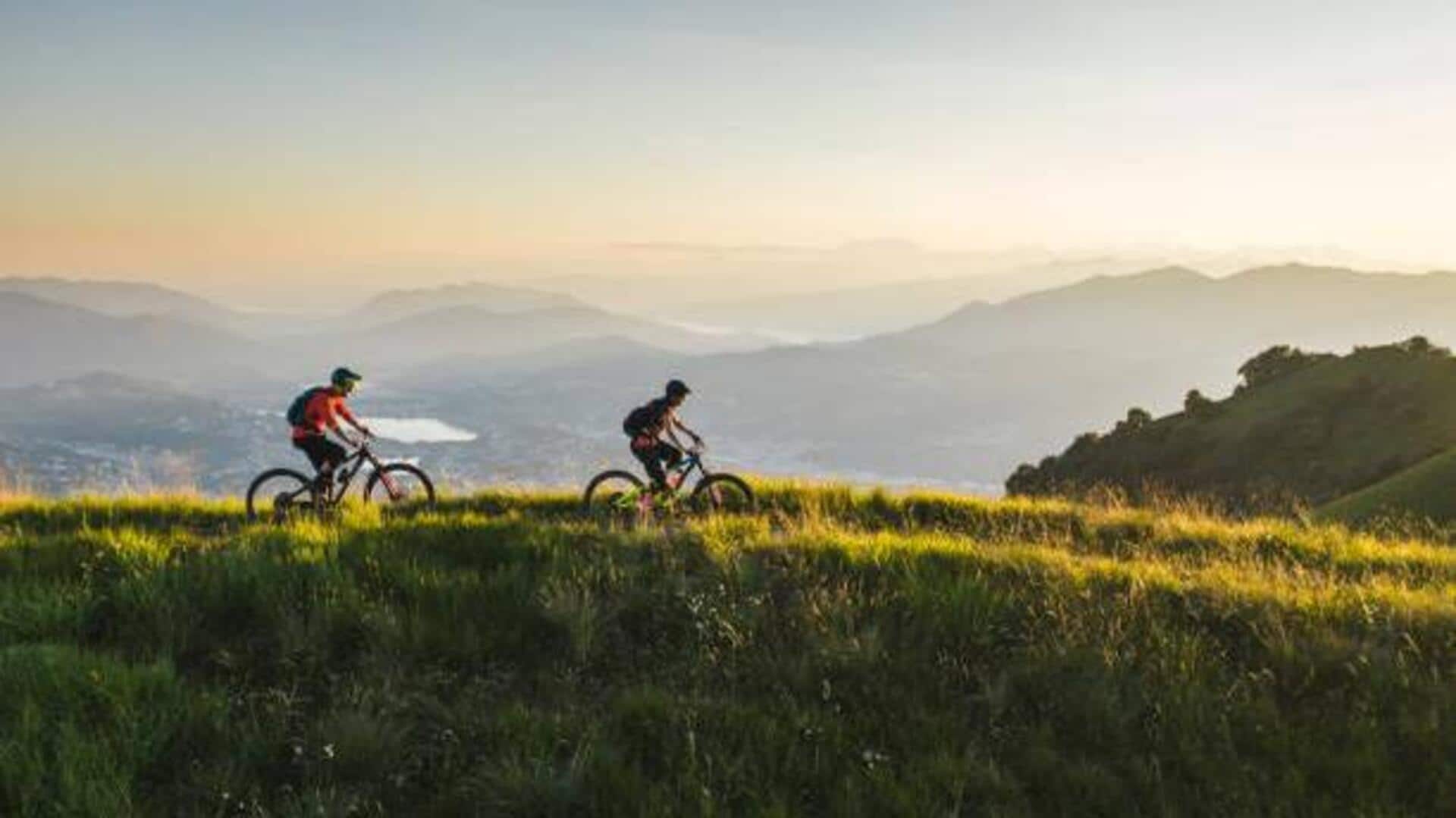 Cycling through New Zealand's Alps: A guide