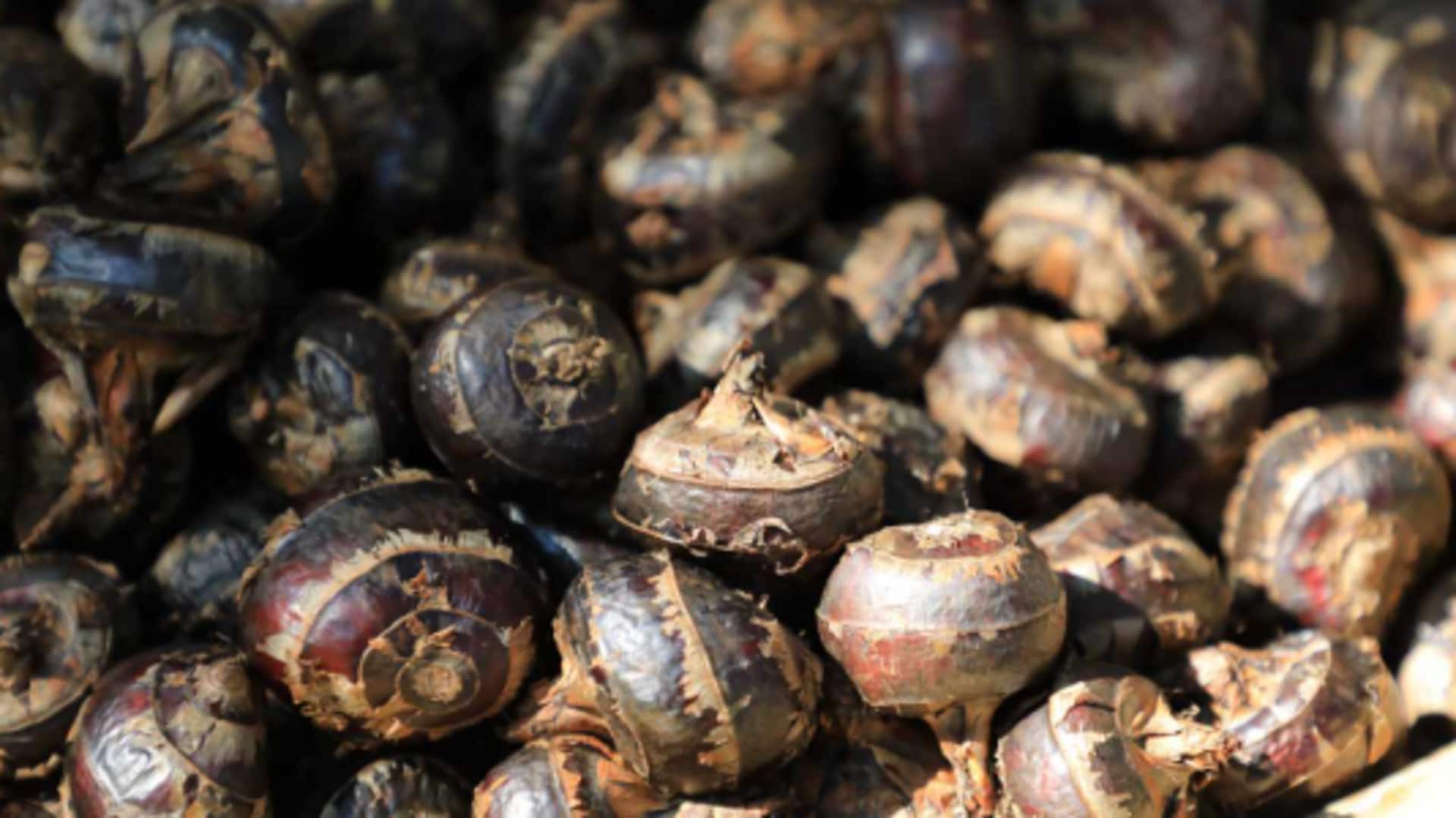 Add some crunch to your dishes with water chestnuts Add some crunch to your dishes with water chestnuts
