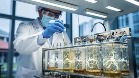 Singapore's new data center runs on living human brain cells