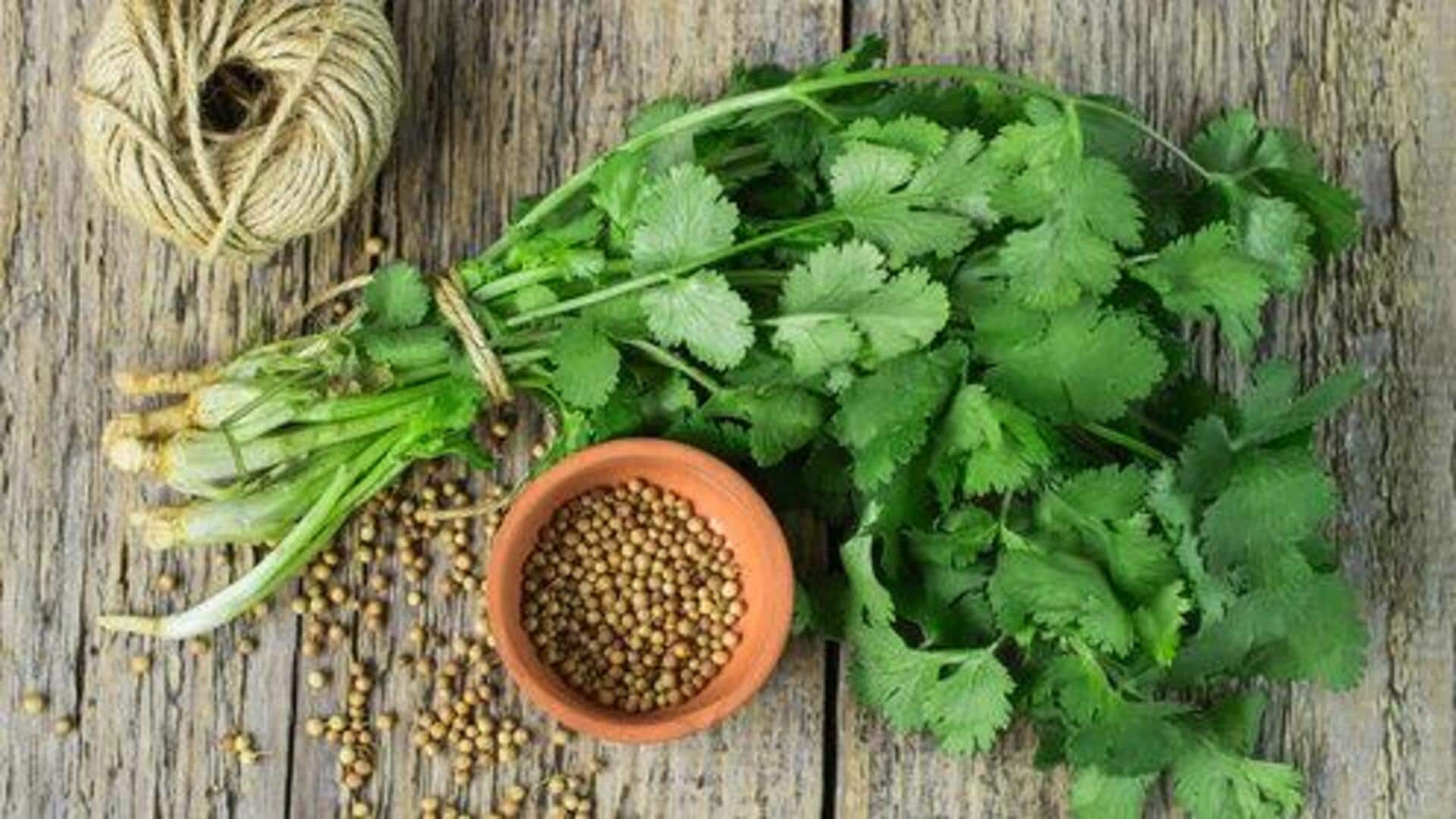 5 reasons to start eating coriander daily 