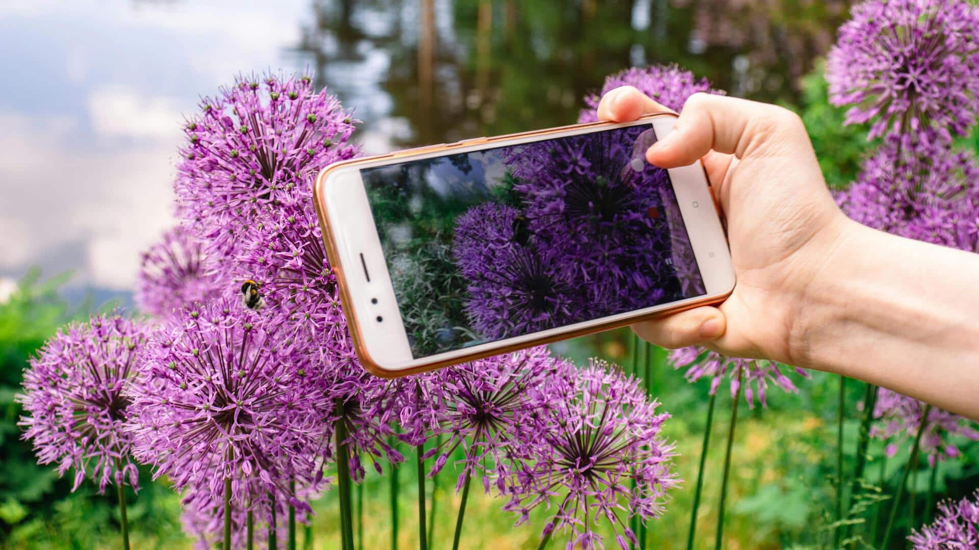 Design your dream garden with AI in minutes