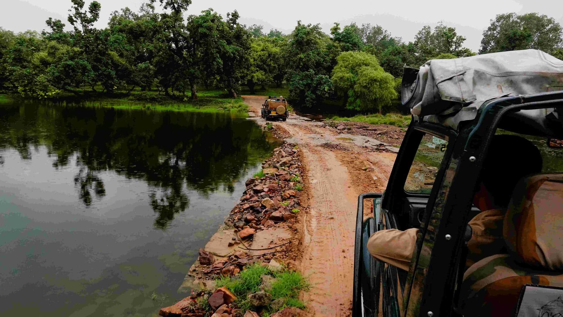 Heavy rains across these states, IMD issues red alert Heavy rains across these states, IMD issues red alert