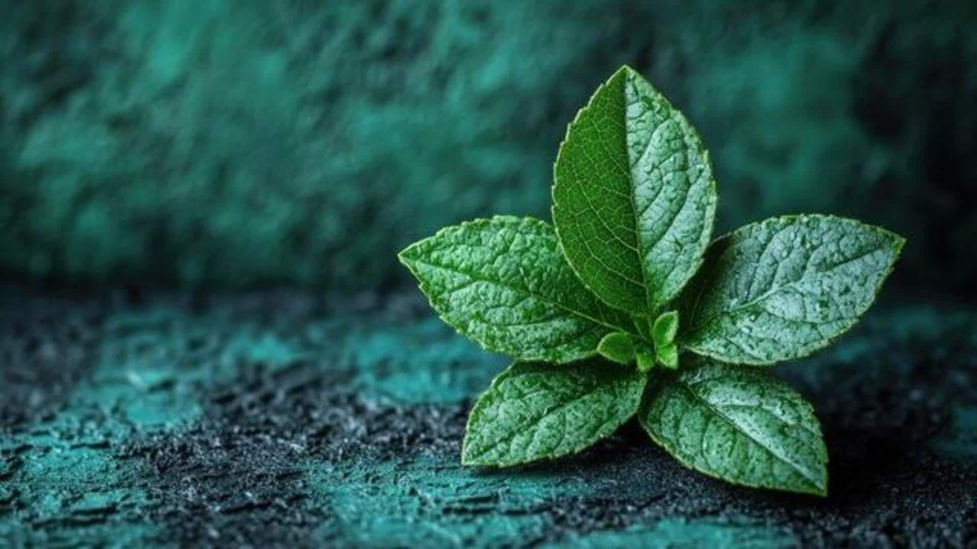 Mint leaves: A natural remedy for tired feet