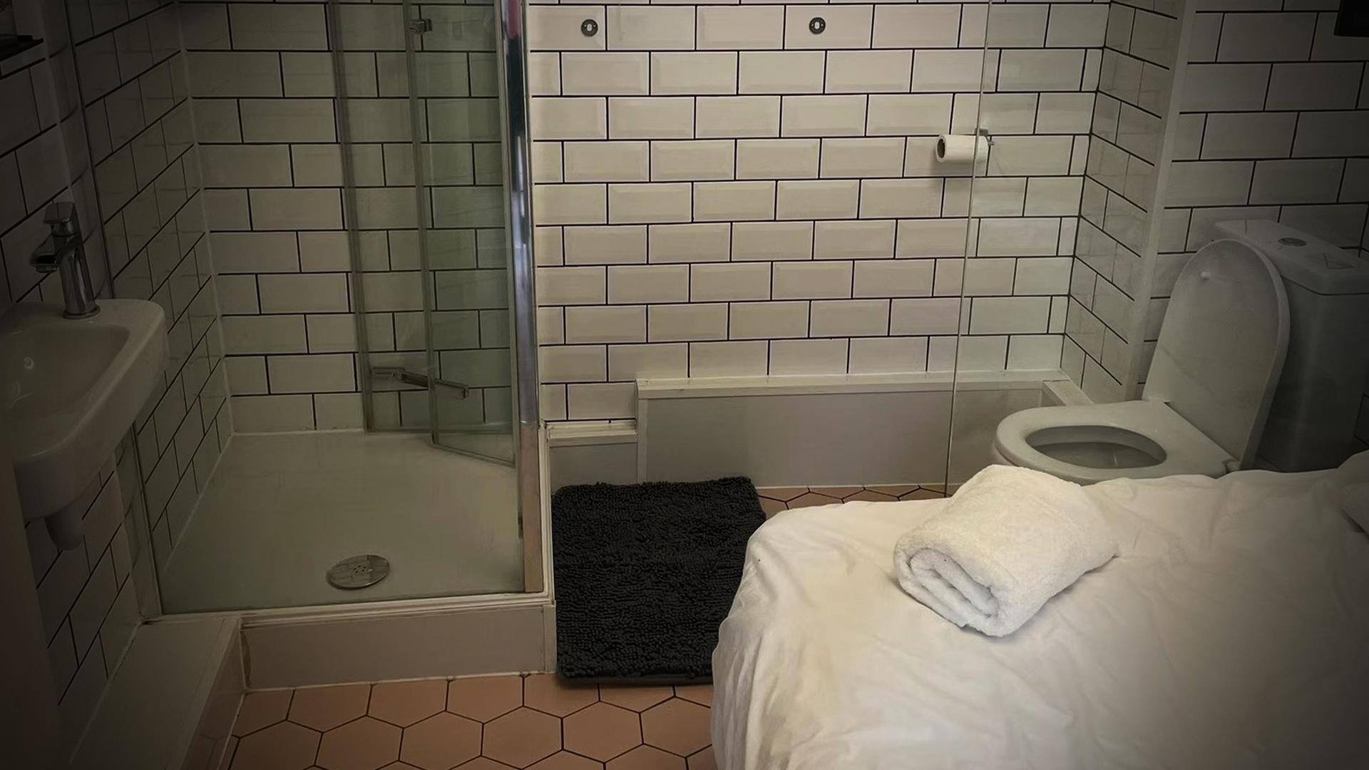 This London Airbnb is a bathroom with a bed!