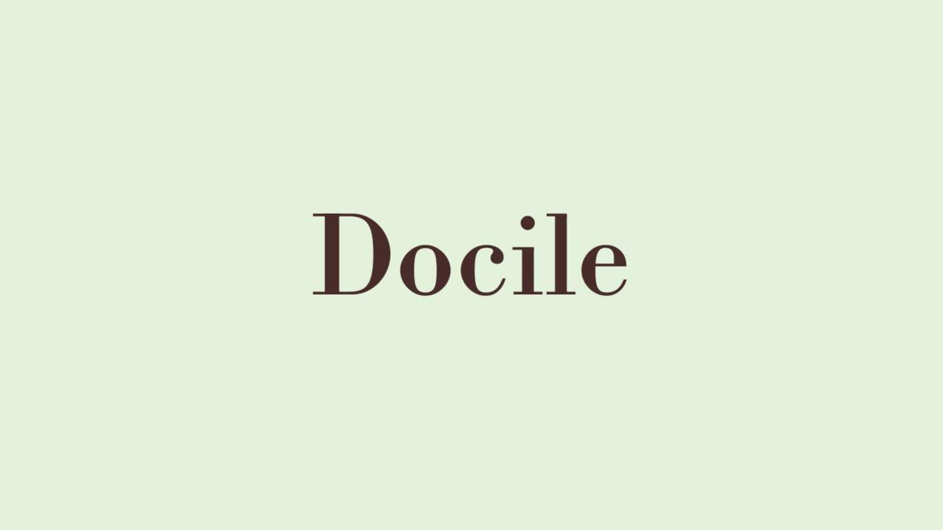 Word of the Day: Docile Word of the Day: Docile
