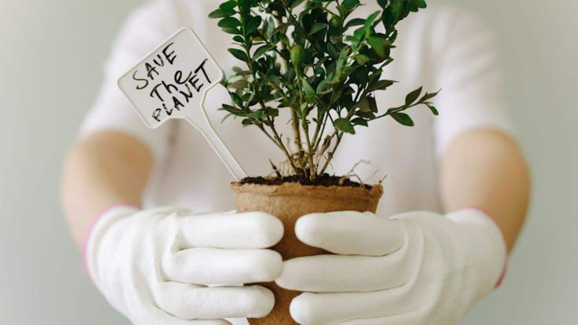 How to make your kids more eco-conscious How to make your kids more eco-conscious