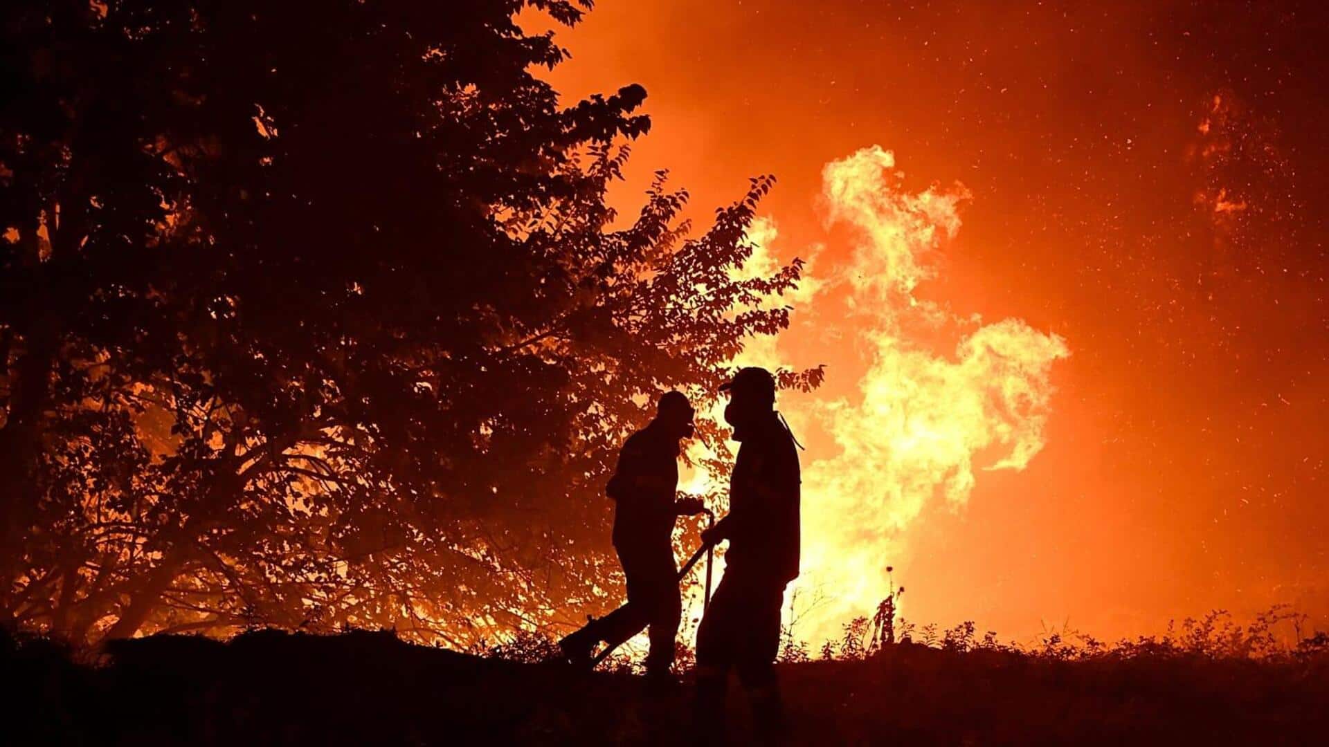 Spain: 12 dead, 6 injured in wildfires