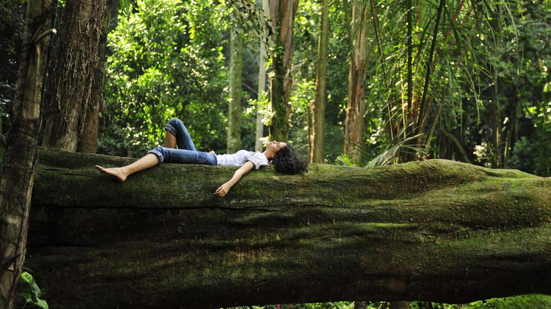 What is forest bathing, a Japanese practice?