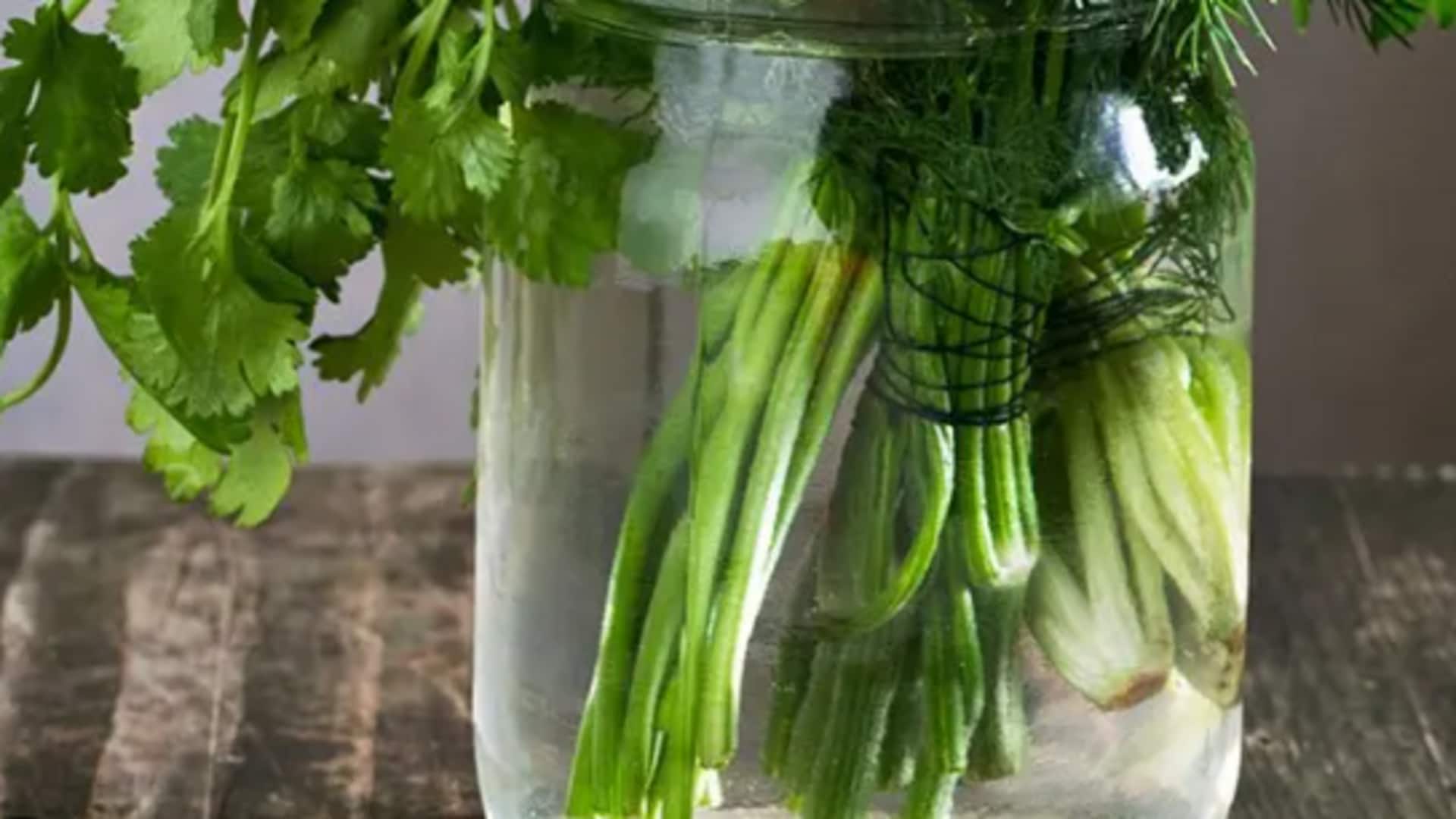 Try parsley infusions for good kidney health Try parsley infusions for good kidney health