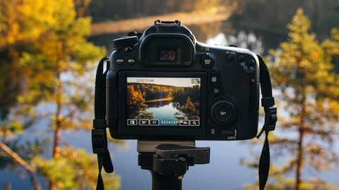 Full-image focus: How this experimental camera breaks photography's oldest limits