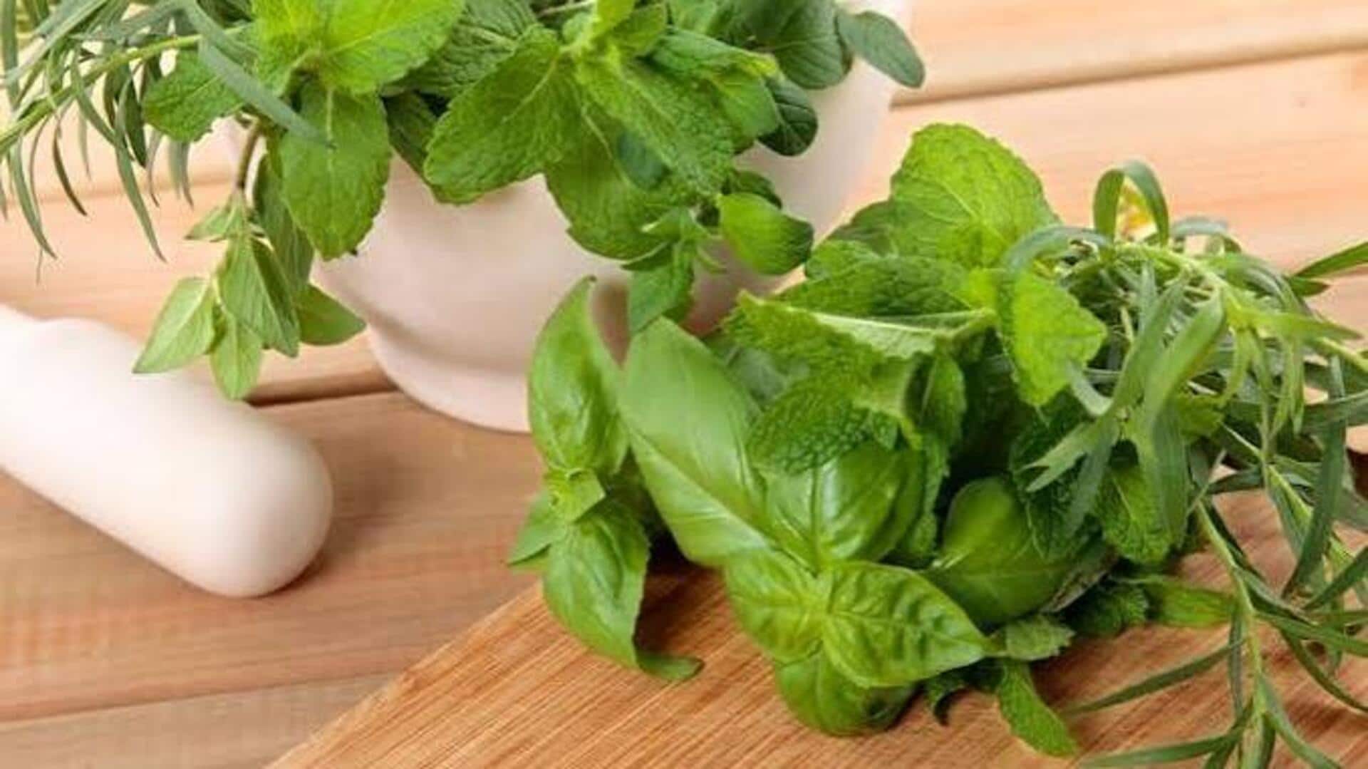 Try these recipes using basil and mint