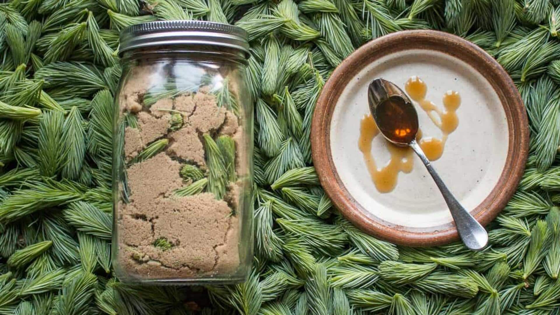 How to use spruce tips in your diet