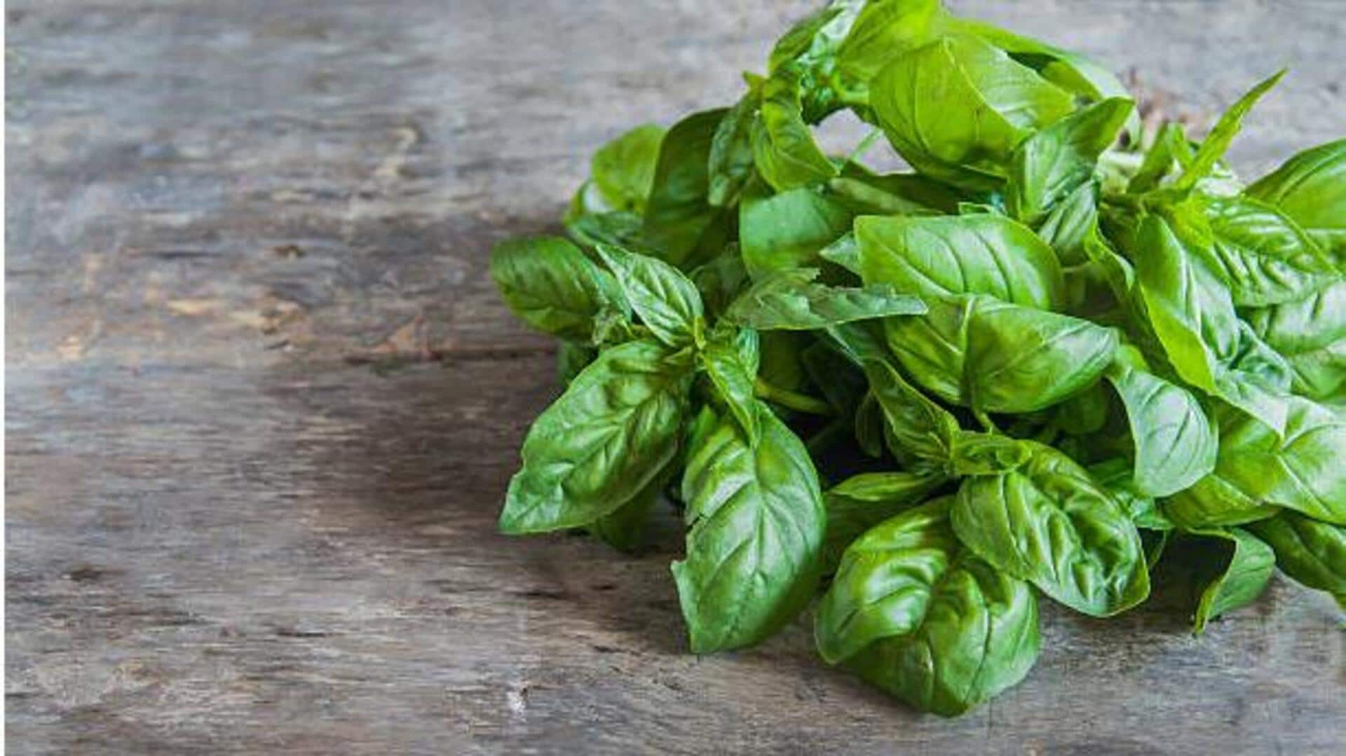 Why basil is great for your mental health