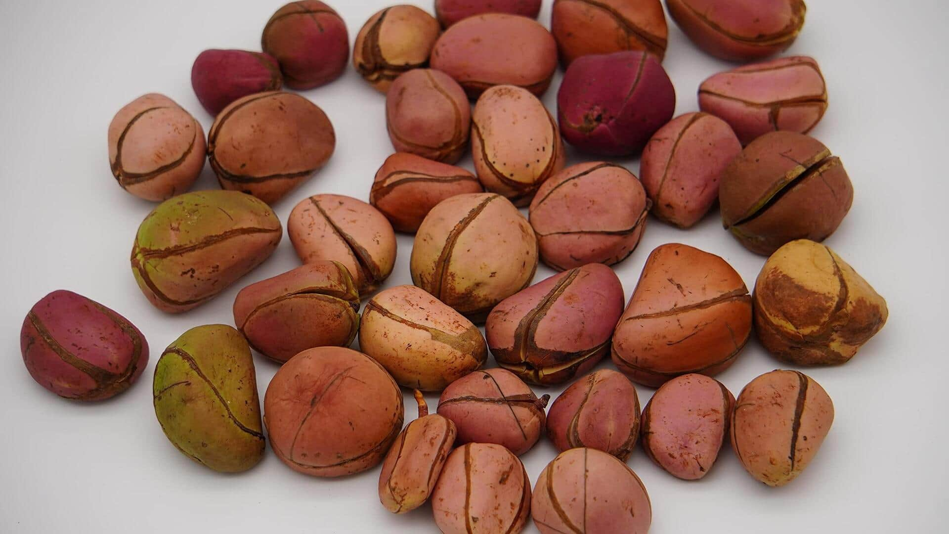 Exploring the African kola nut flavor wonders