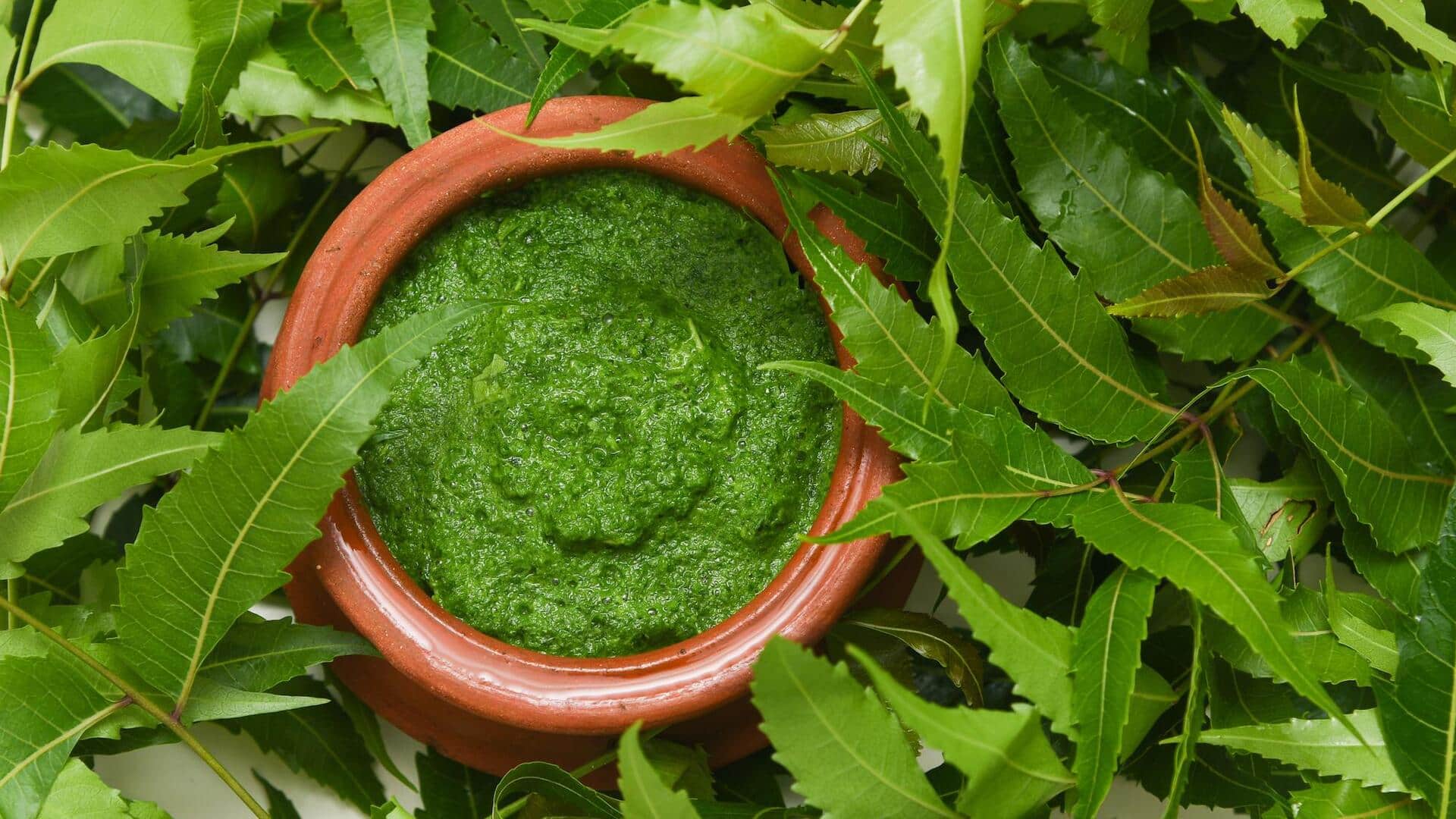 5 ways neem leaves can keep your home spotless