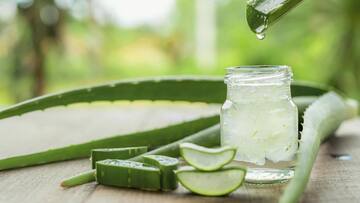Aloe vera oil: Benefits, DIY recipe, everything to know