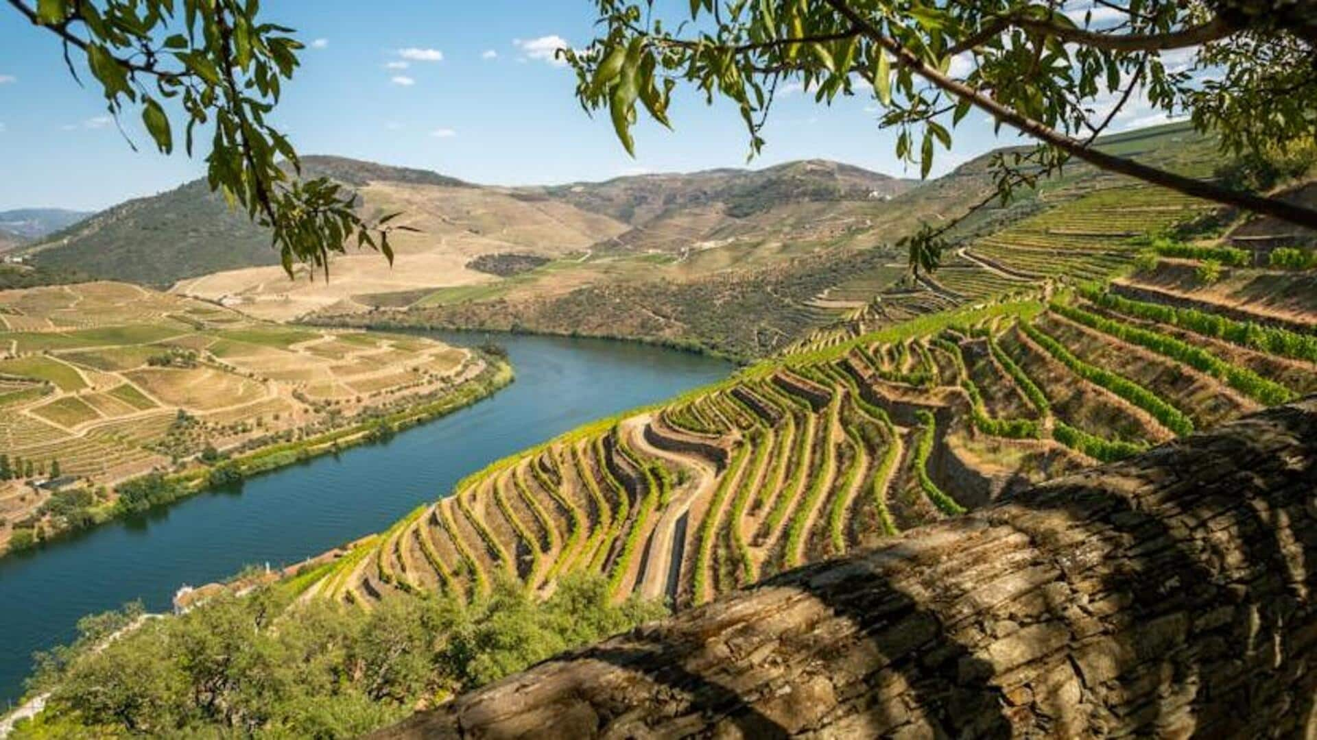 Savor the scenic beauty of Douro Valley, Portugal: A guide