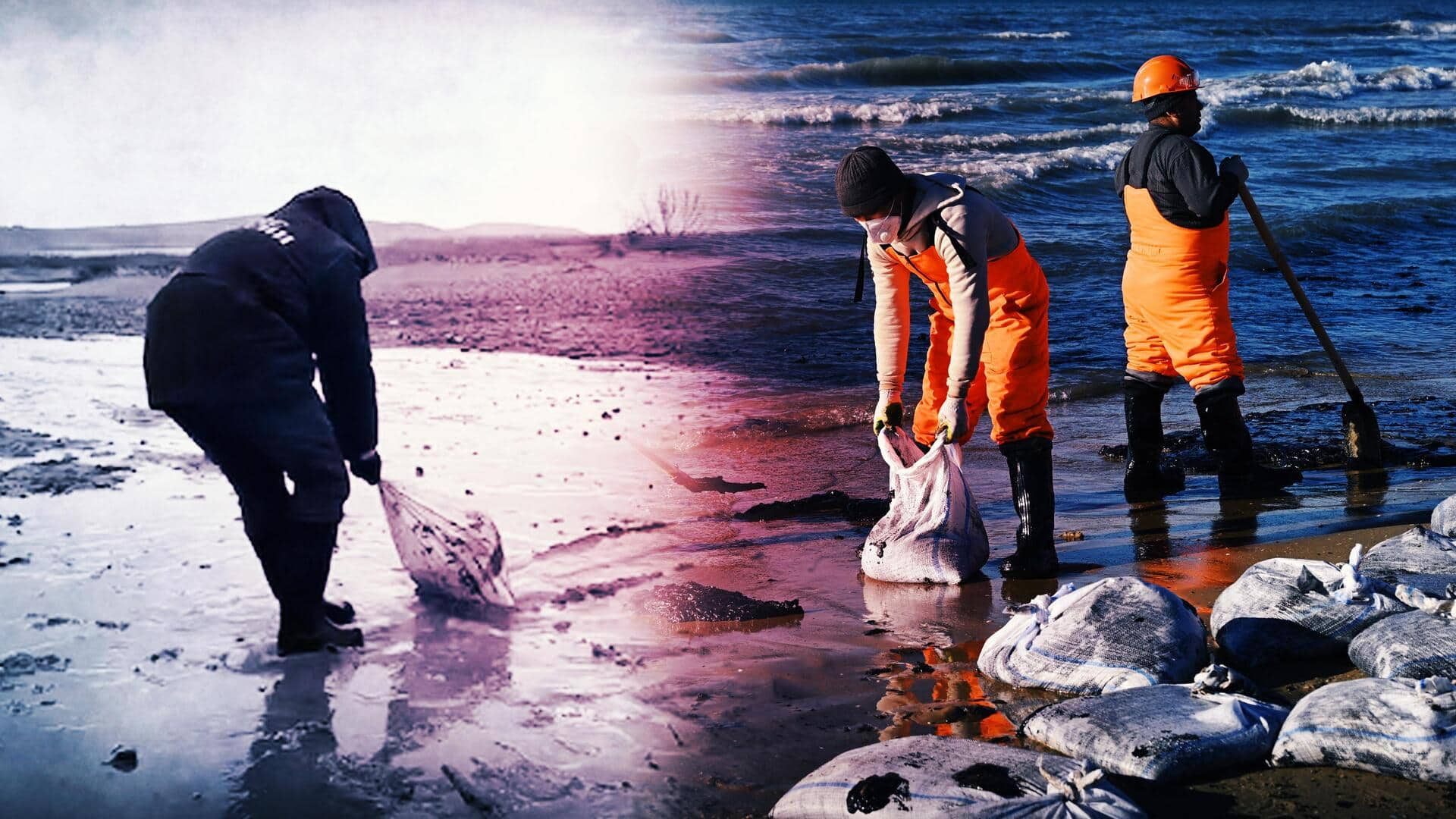 Russian scientists criticize response to Black Sea oil spill