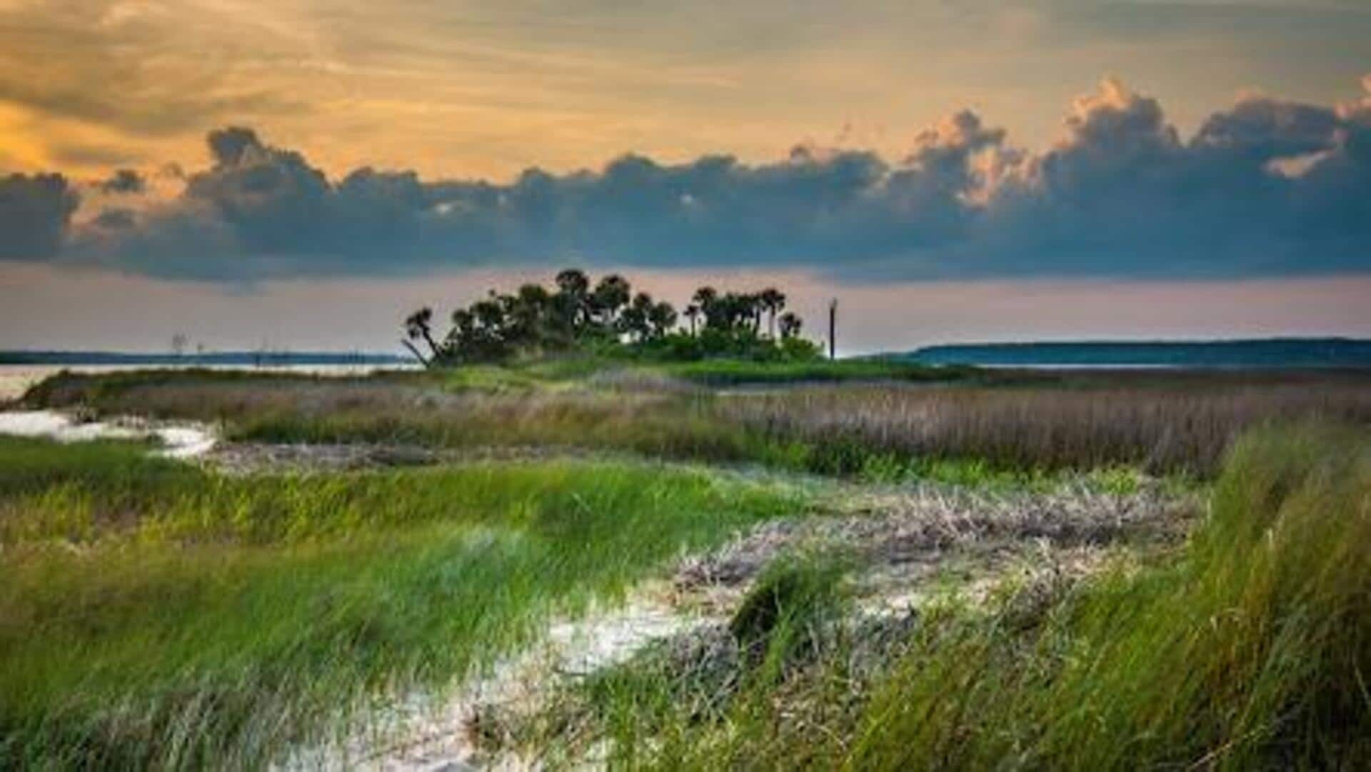 Unveiling the Gullah culture of Sea Islands, South Carolina