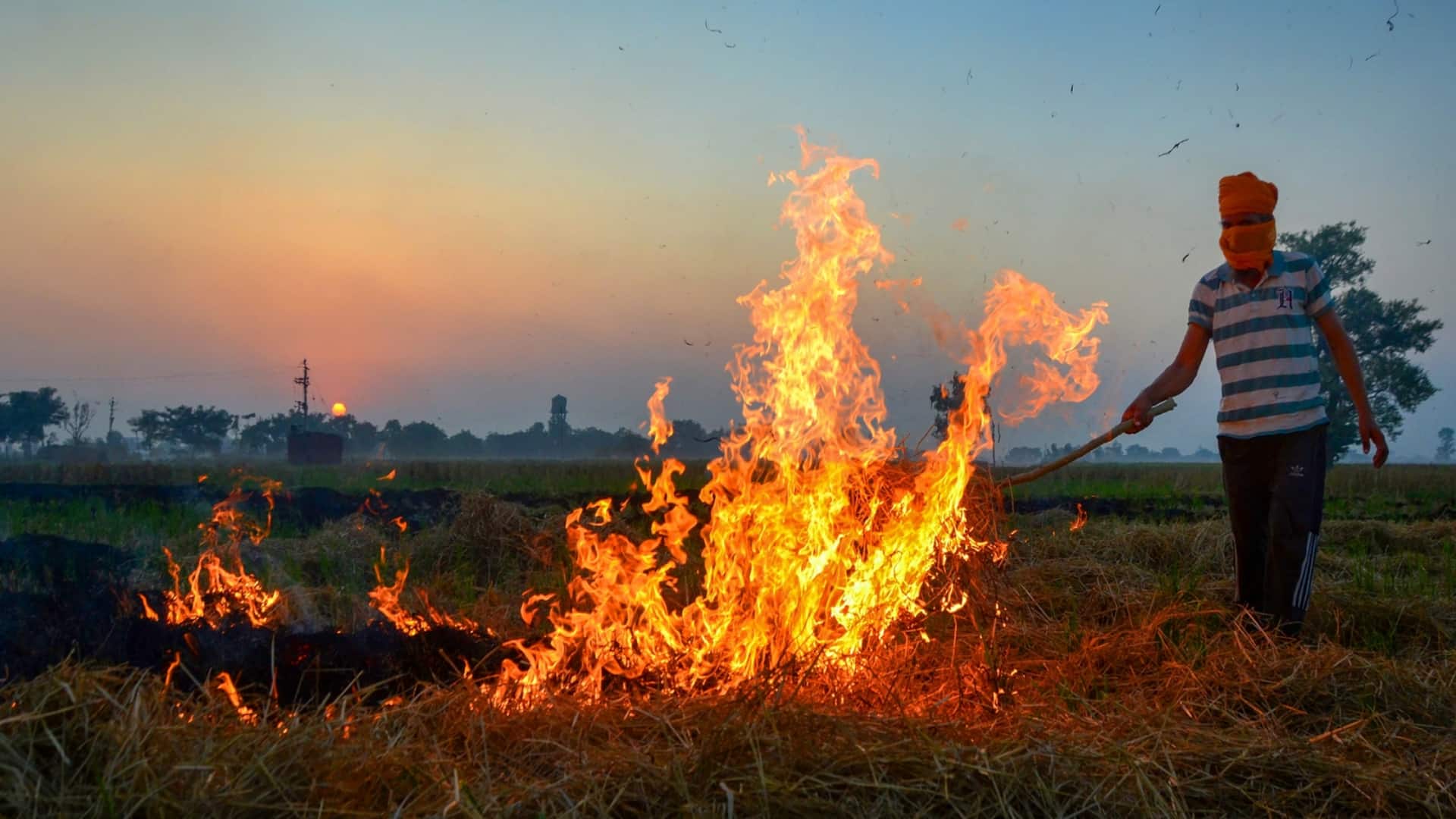 Are farmers evading satellites with 5pm trick?: Report