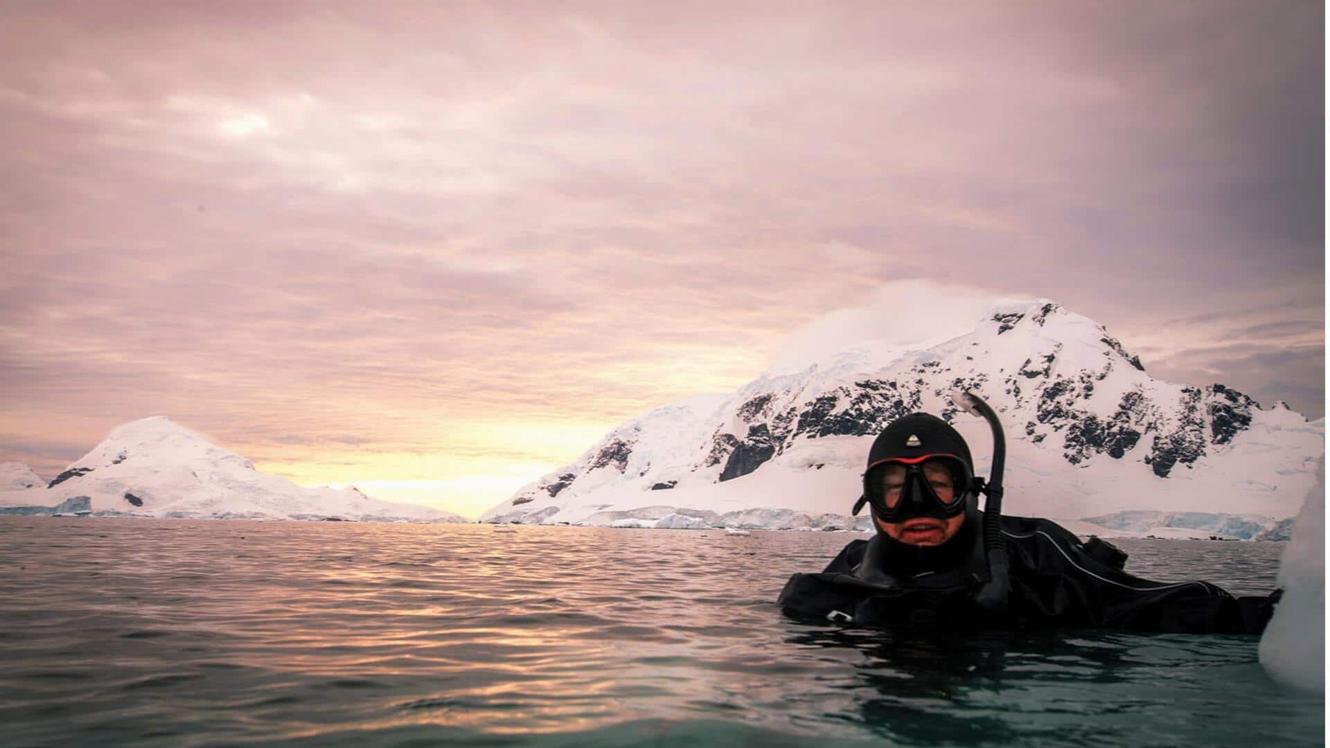 Polar snorkeling: Discovering Arctic marine life